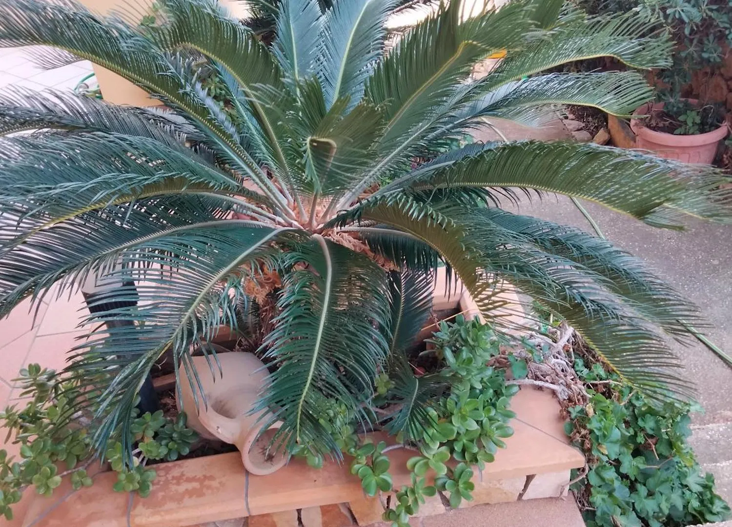 Villa Acquamarina Custonaci Italia